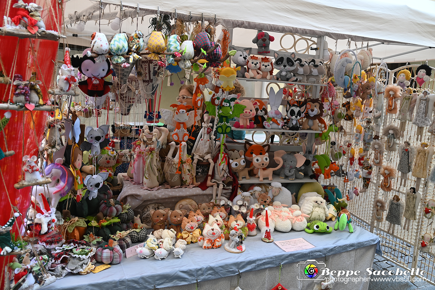 VBS_8235 - Mercatino dell'Antiquariato e dell'Hobbismo.jpg